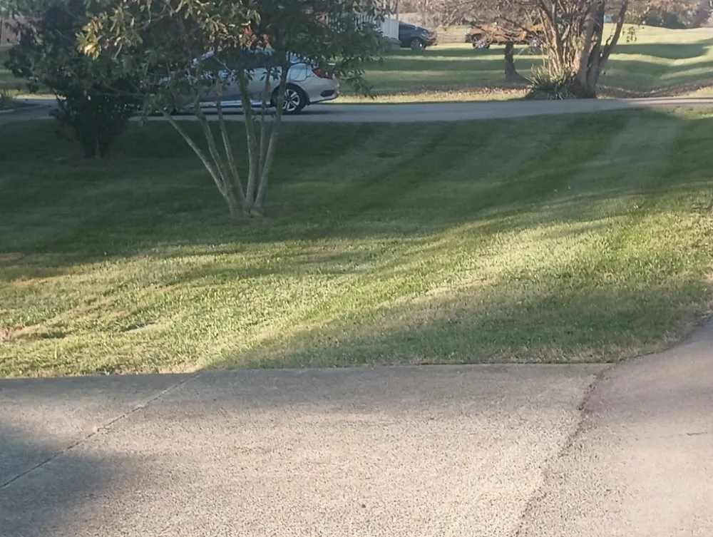 Affordable landscape design for homes in La Grange, KY by Williams Special Touch Lawn and Landscaping