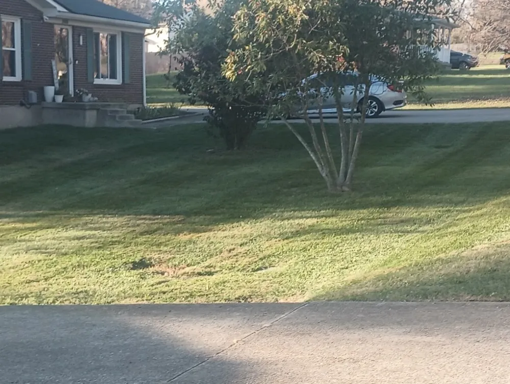 Affordable lawn mowing service in La Grange, KY - Williams Special Touch Lawn and Landscaping