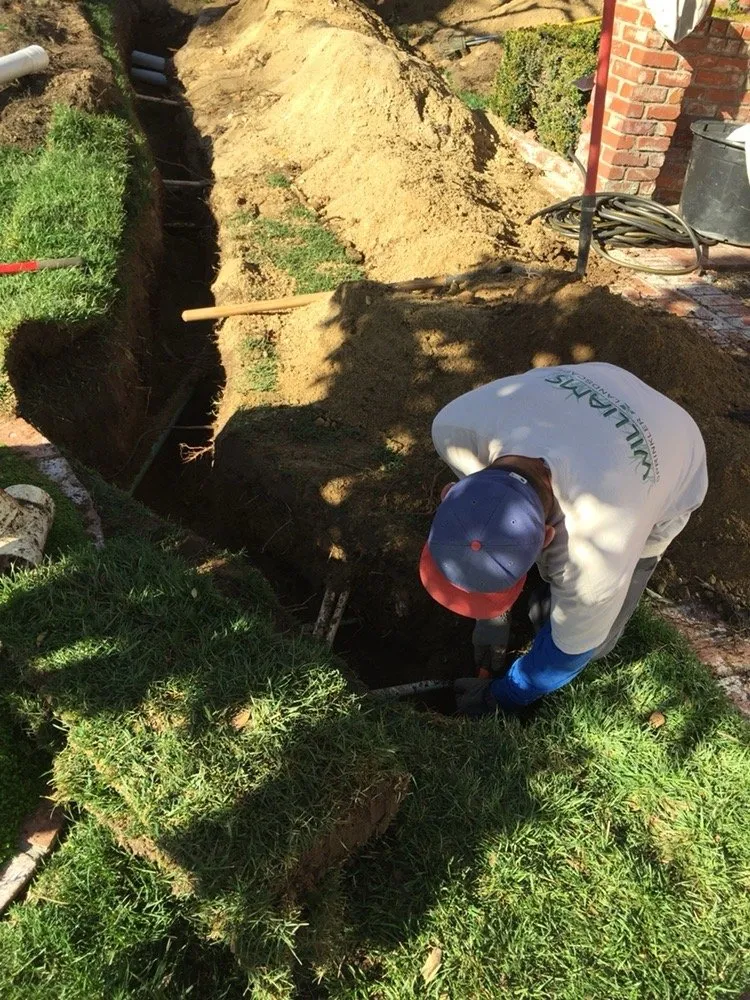 Trusted garden landscaping for beautiful yards in Santa Clarita, CA by Williams Sprinkler and Landscape