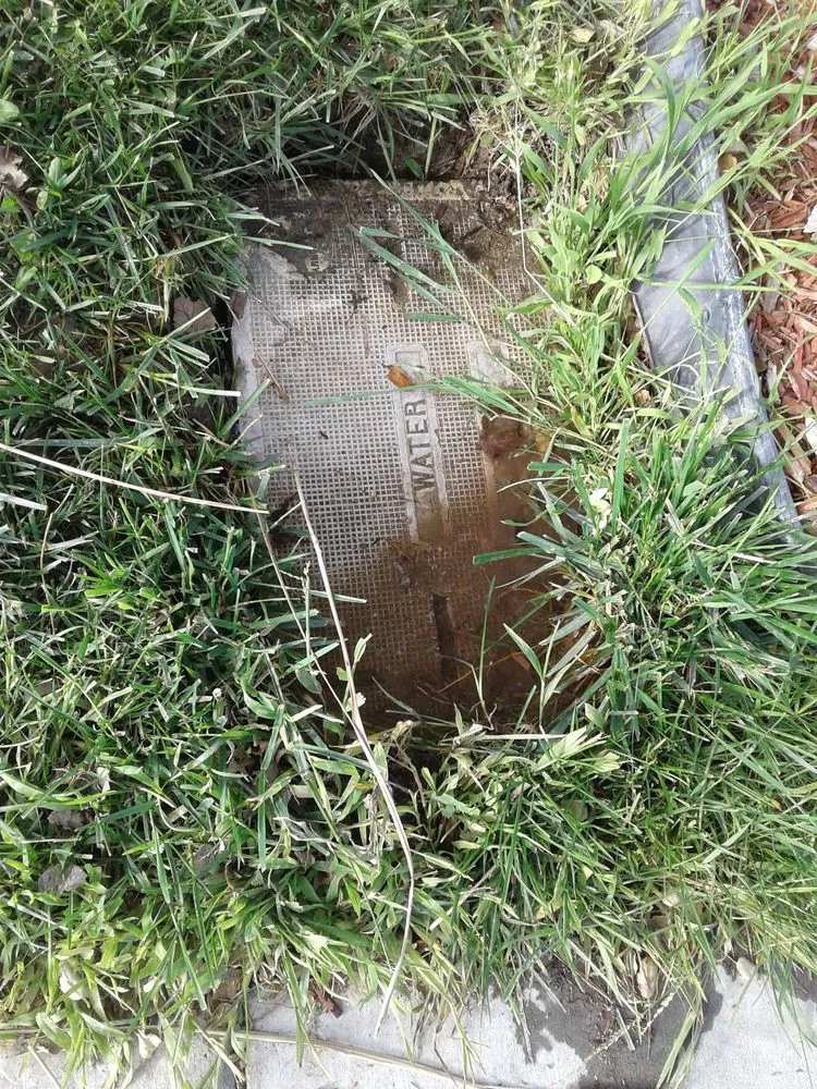 Trusted lawn mowing service in Santa Clarita, CA by Williams Sprinkler and Landscape