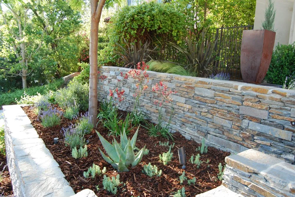 Trusted yard cleanup service for year-round maintenance across Santa Clarita, CA - Williams Sprinkler and Landscape