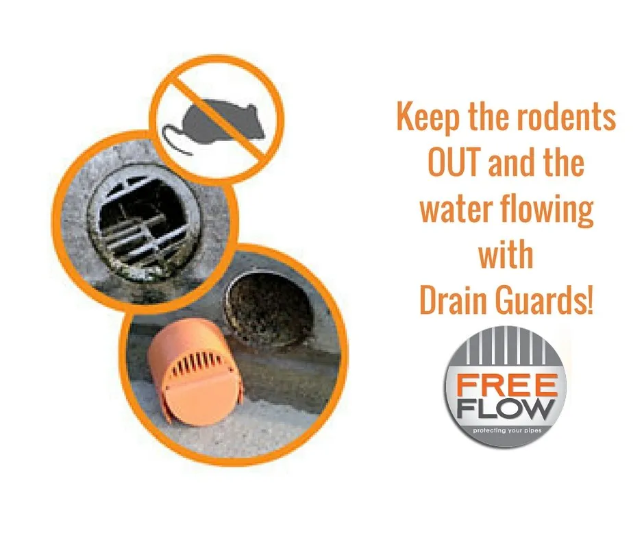 Affordable landscape design with custom design across Oceanside, CA - William's Technique Landscape