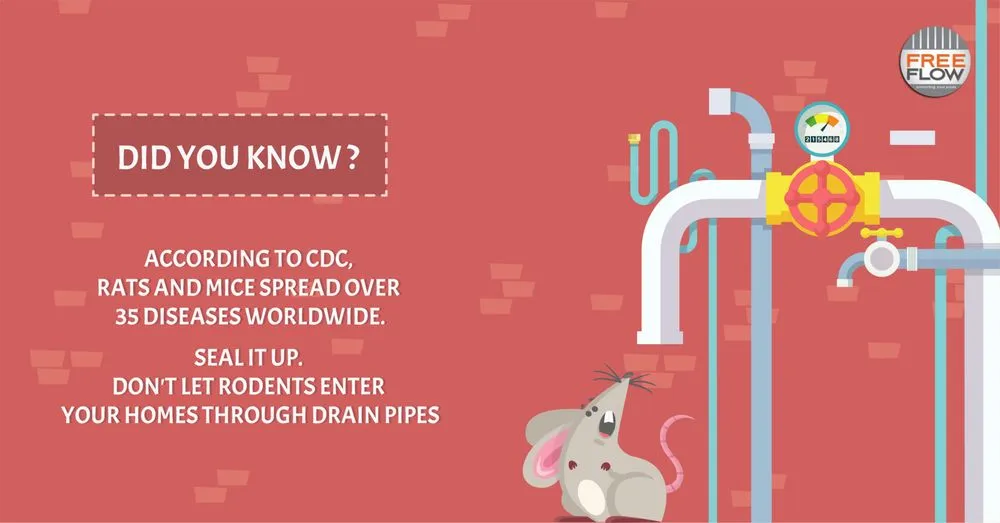 Reliable landscape design near you in Oceanside, CA by William's Technique Landscape