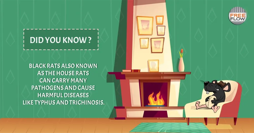 Expert garden landscaping experts serving Oceanside, CA - William's Technique Landscape