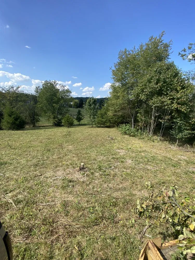 Trusted yard cleanup service for homes across Greenback, TN - Williams Tractoring