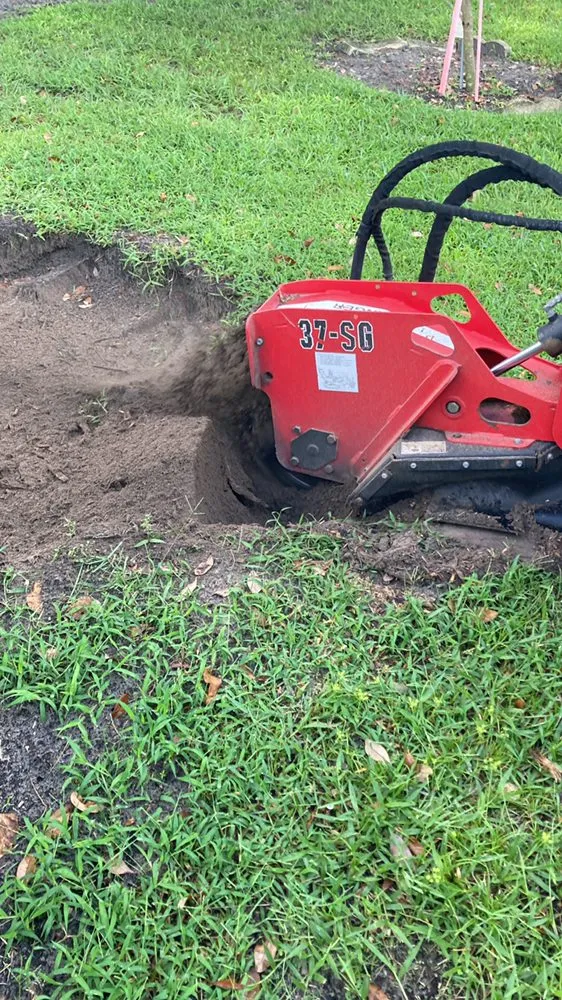 Affordable landscape design in Orlando, FL - Williams Travel & Management Service