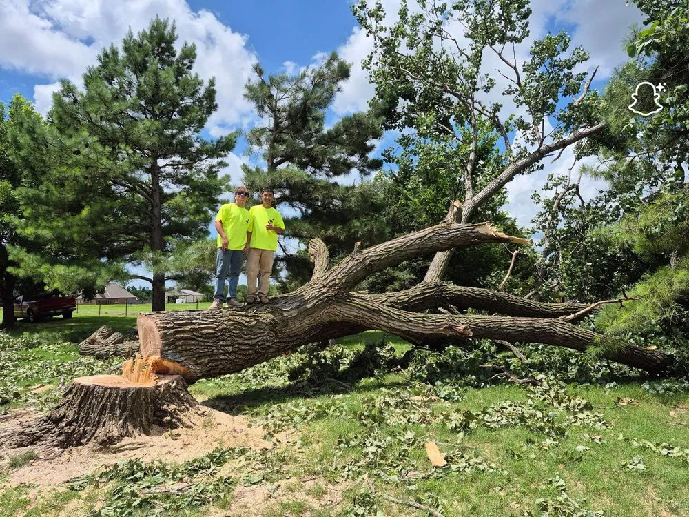 Local outdoor landscaping for residential properties across Moore, OK - Williams Tree & Landscaping