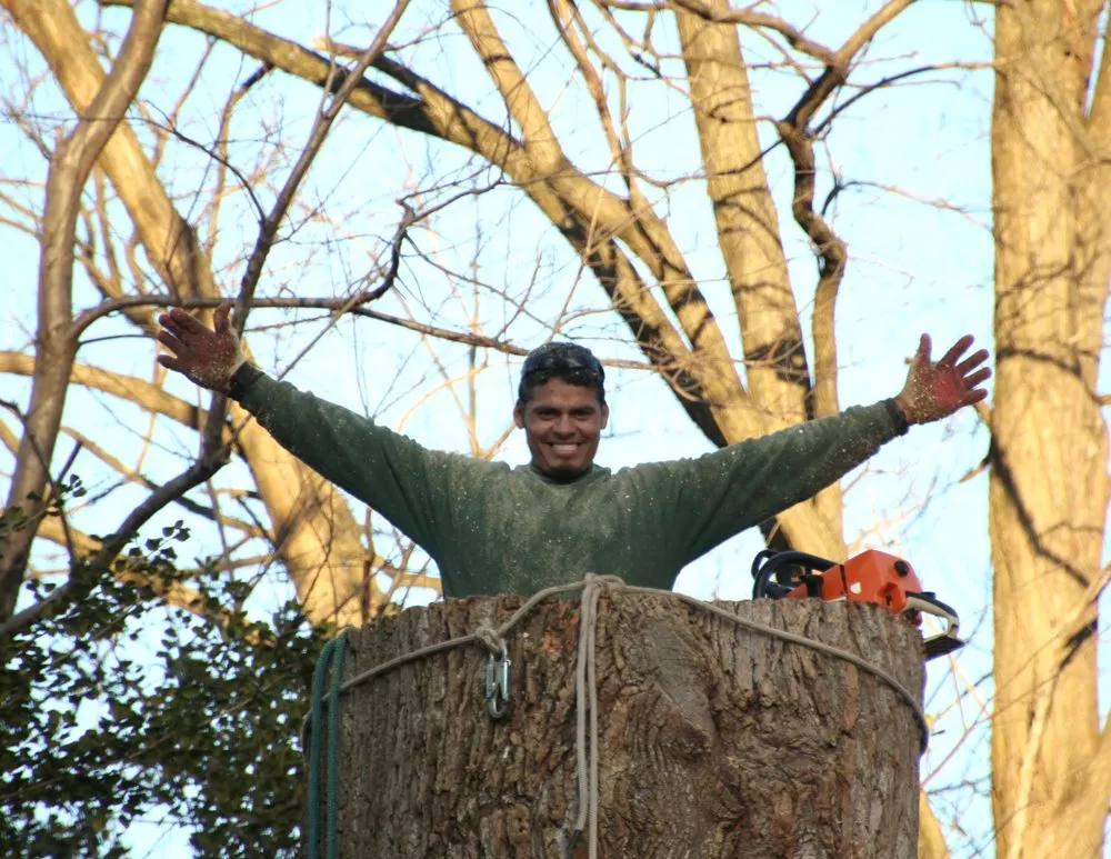 Top-rated landscape installation experts serving Sterling, VA - Williams Tree Care