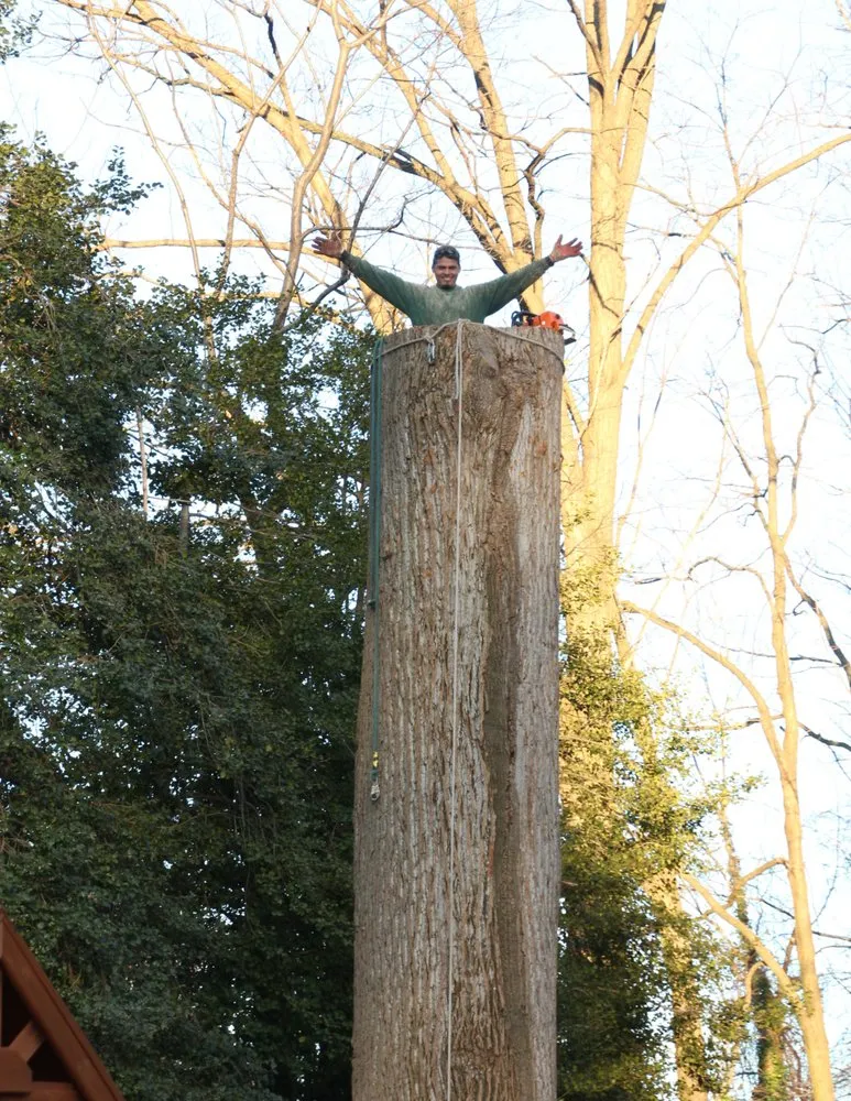 Top-rated lawn mowing service near you across Sterling, VA - Williams Tree Care