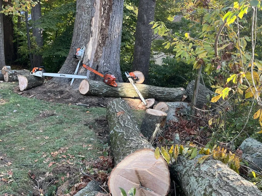 Local residential landscaping for beautiful yards across Sterling, VA - Williams Tree Care