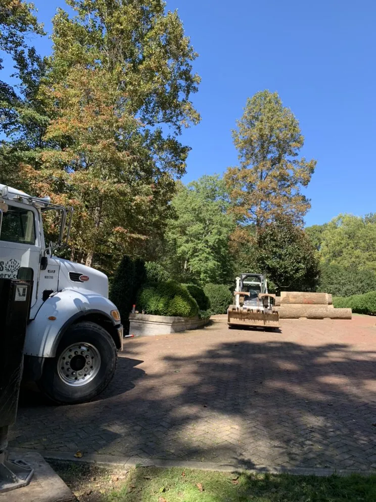 Reliable landscaping services experts serving Sterling, VA - Williams Tree Care