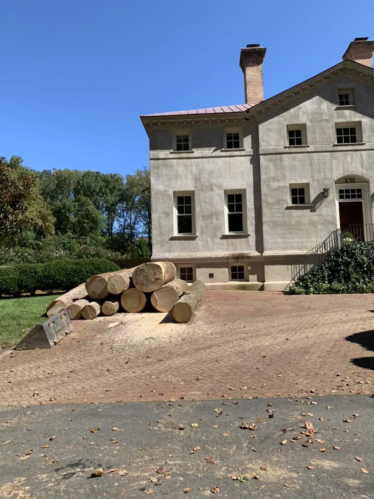 Trusted yard cleanup service with custom design across Sterling, VA - Williams Tree Care