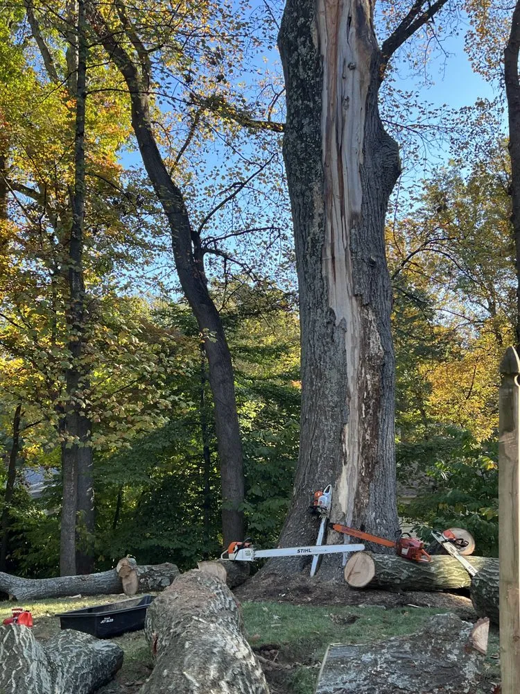 Professional outdoor landscaping experts serving Sterling, VA - Williams Tree Care