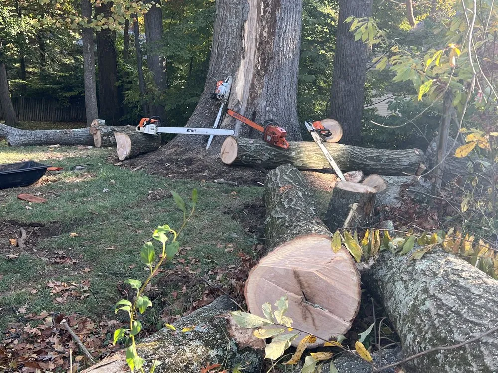 Expert outdoor landscaping near you across Sterling, VA - Williams Tree Care