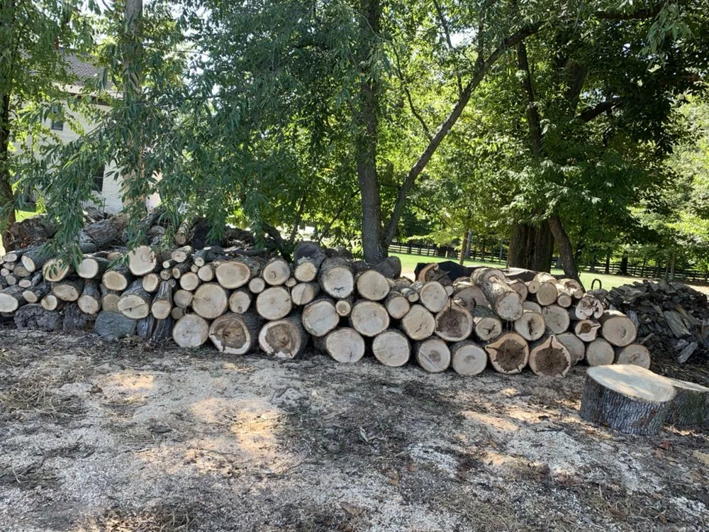 Local lawn care service for beautiful yards across Sterling, VA - Williams Tree Care