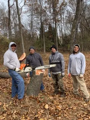 Williams Tree Care Logo