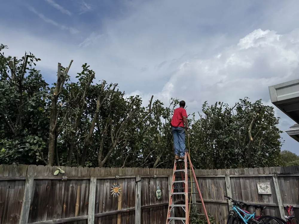 Trusted yard cleanup service in Starke, FL - William’s Tree Removal & Property Services