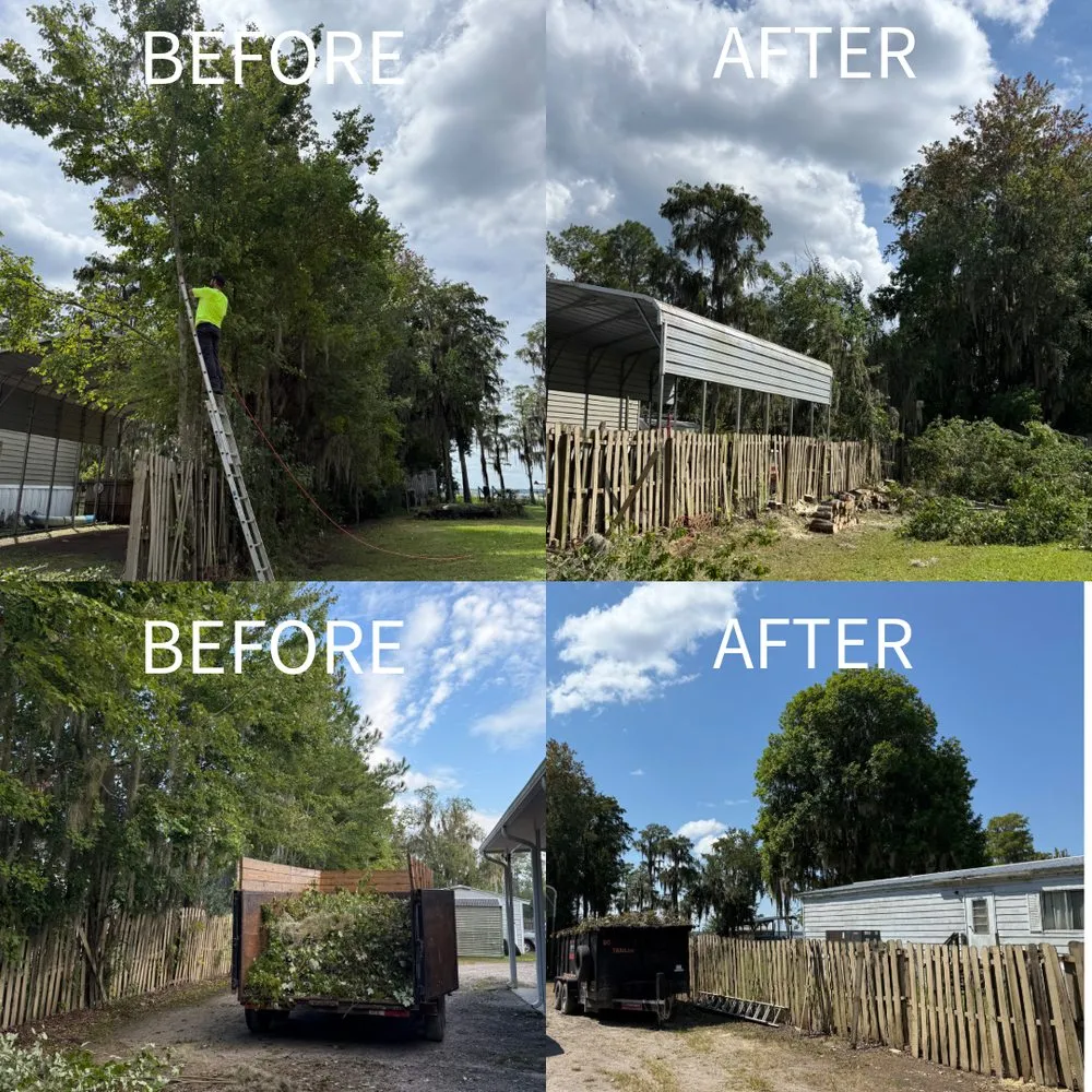 Trusted lawn care service with custom design in Starke, FL by William’s Tree Removal & Property Services