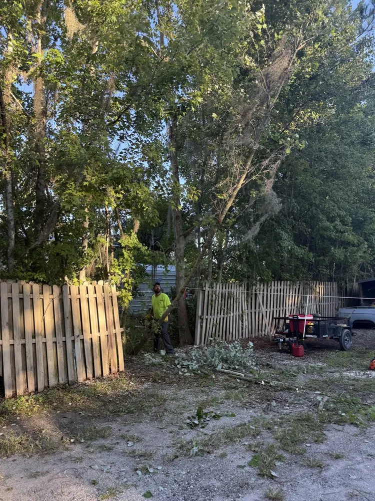 Reliable yard maintenance for residential properties across Starke, FL - William’s Tree Removal & Property Services