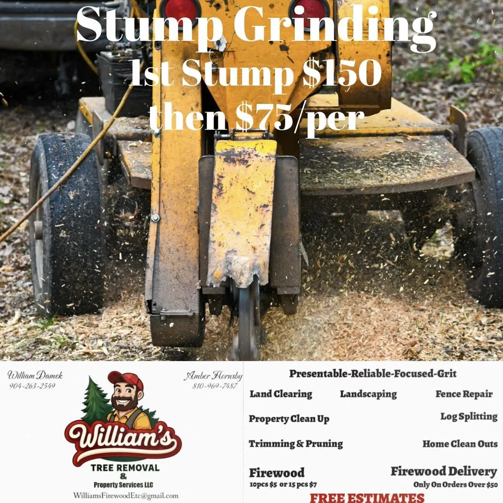 Professional outdoor landscaping experts serving Starke, FL - William’s Tree Removal & Property Services