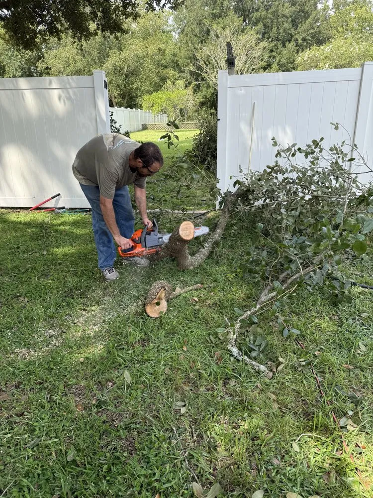 Top-rated yard maintenance in Starke, FL - William’s Tree Removal & Property Services