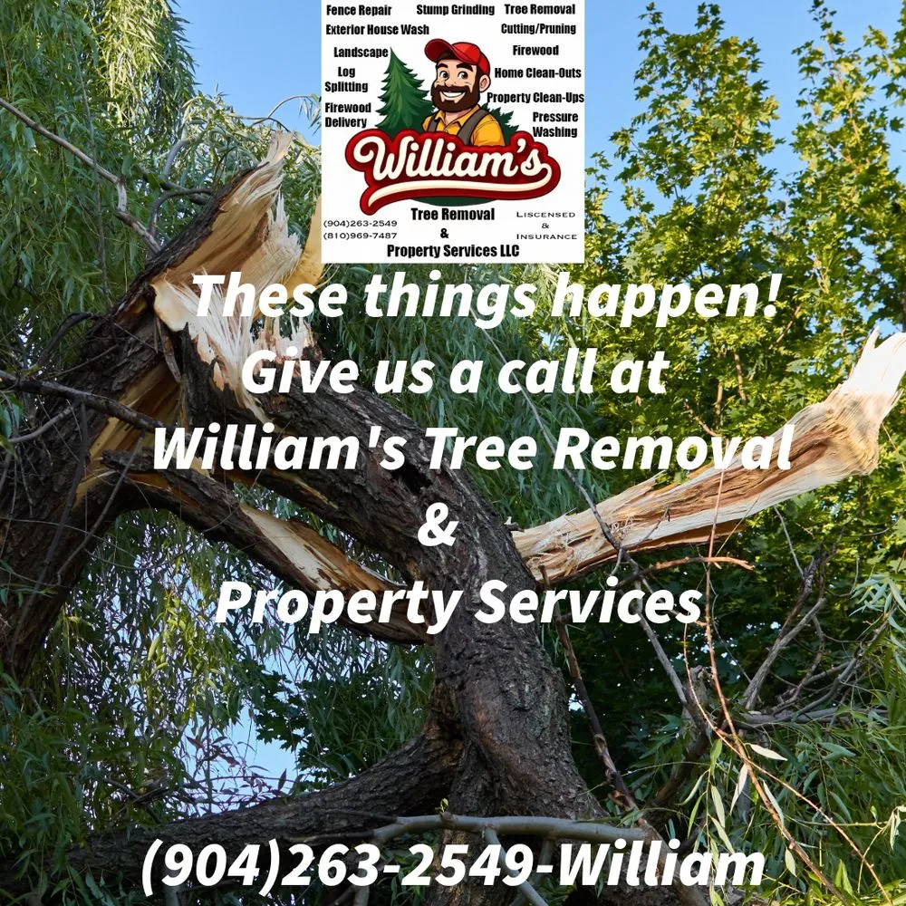 Reliable yard cleanup service in Starke, FL by William’s Tree Removal & Property Services