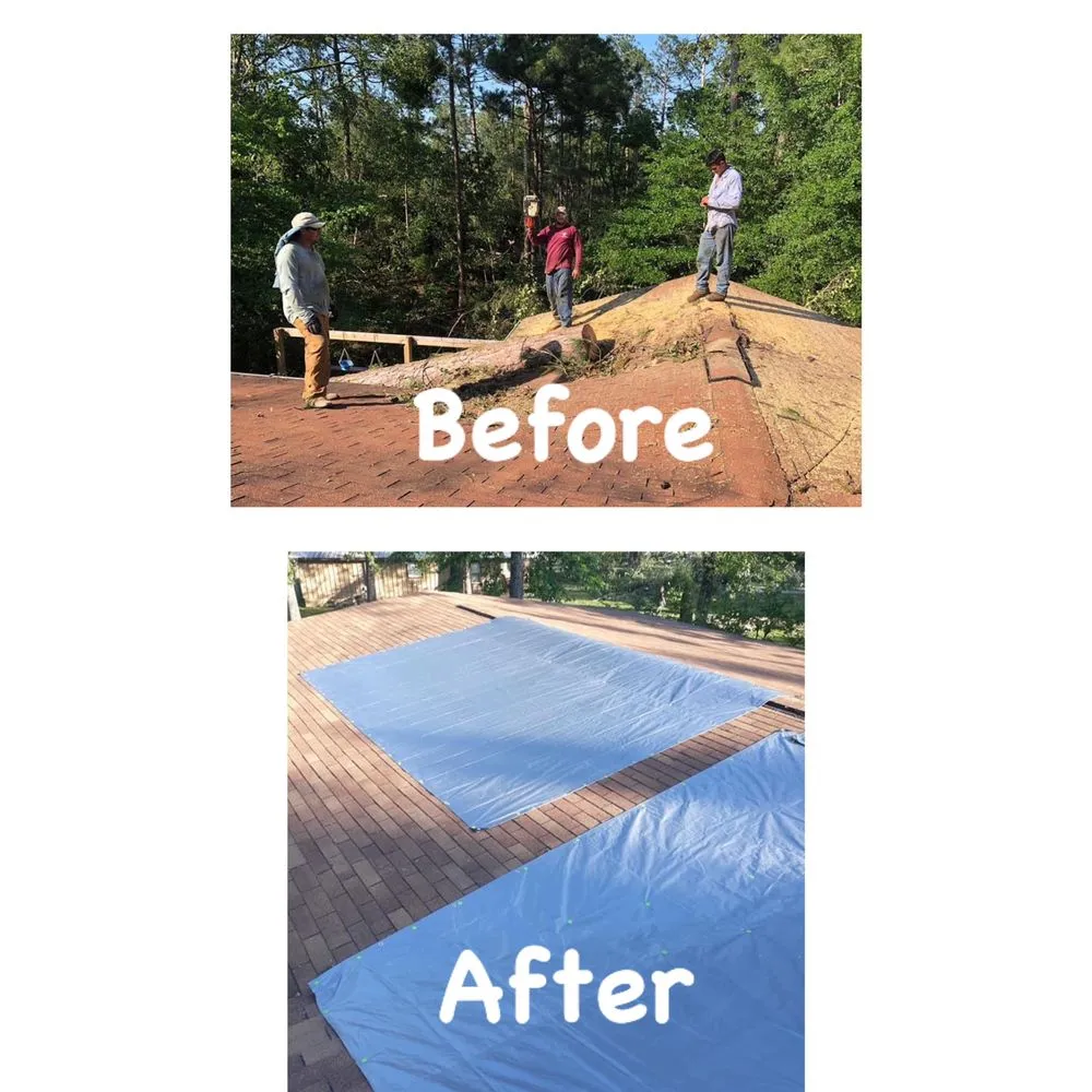 Expert garden landscaping experts serving Houston, TX - Williams Tree Service