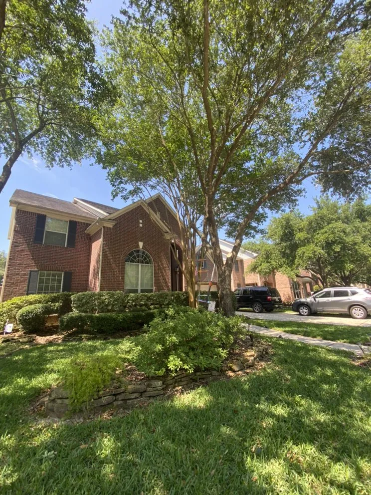 Top-rated yard maintenance in Houston, TX - Williams Tree Service