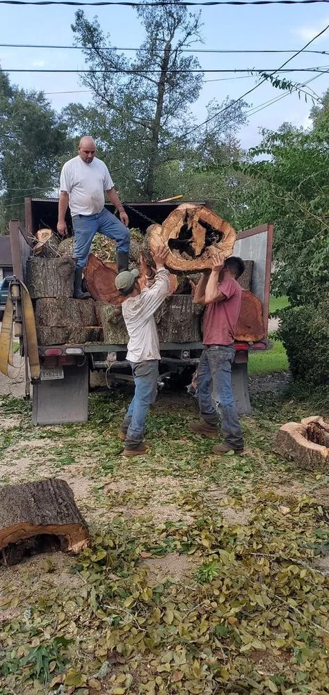 Affordable yard maintenance experts serving Houston, TX - Williams Tree Service