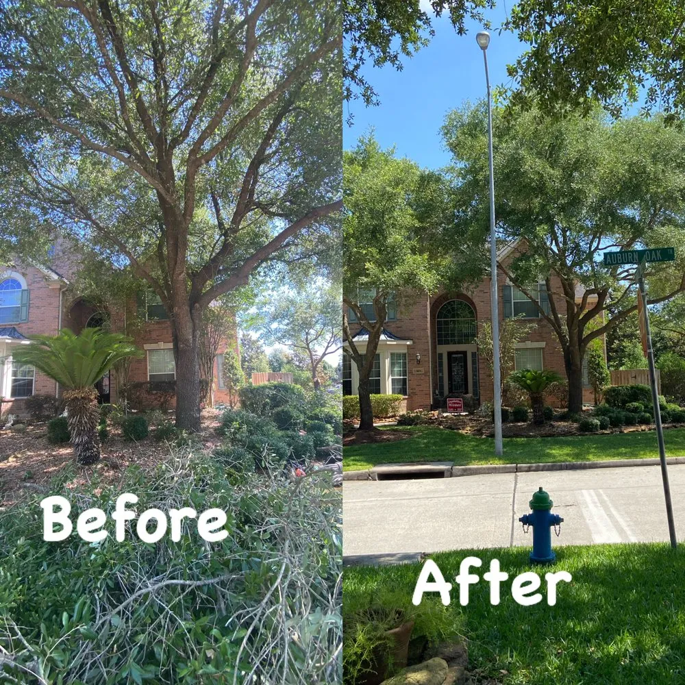 Professional lawn mowing service experts serving Houston, TX - Williams Tree Service