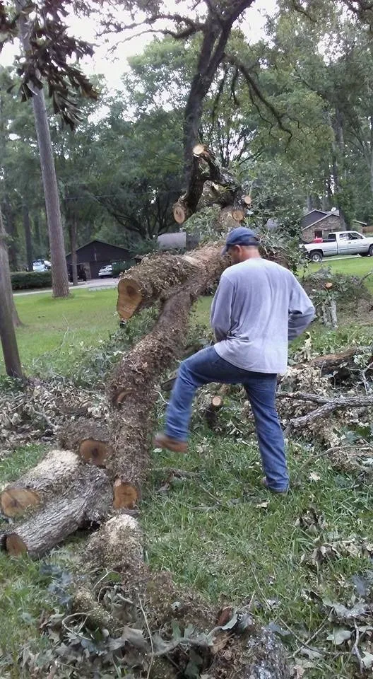 Local landscaping services in Houston, TX - Williams Tree Service