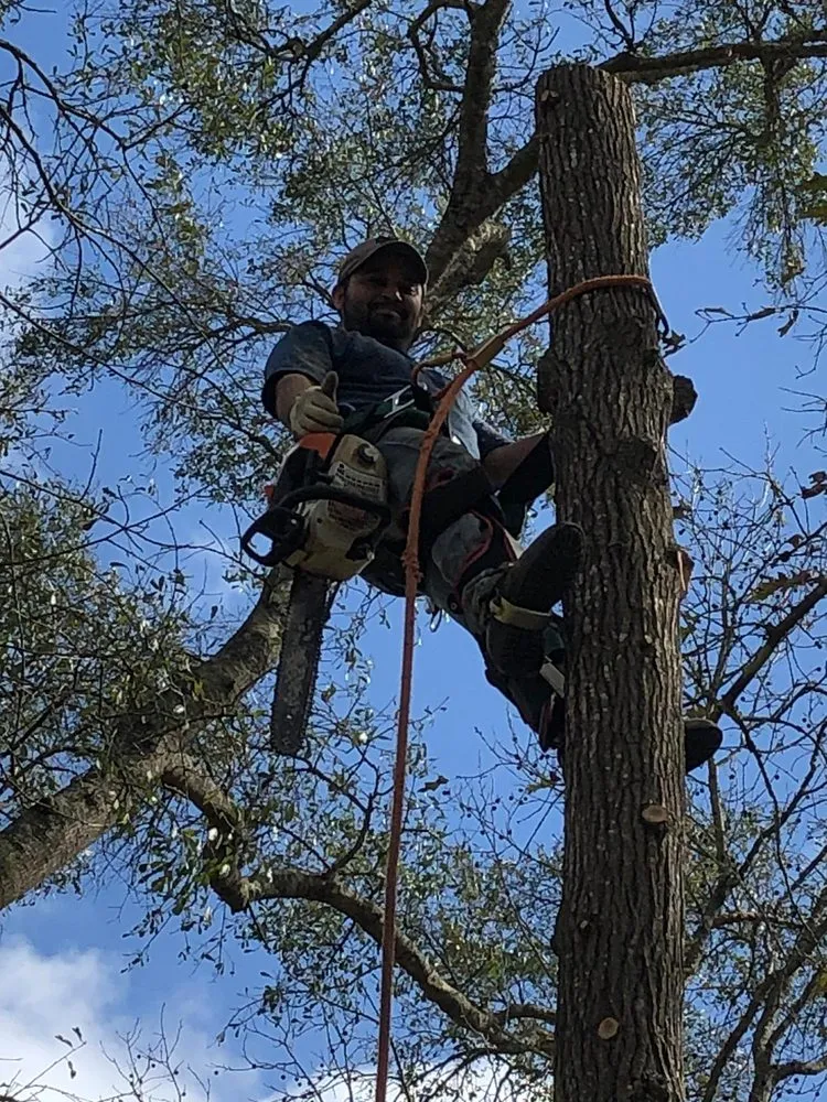 Expert outdoor landscaping for residential properties in Houston, TX by Williams Tree Service