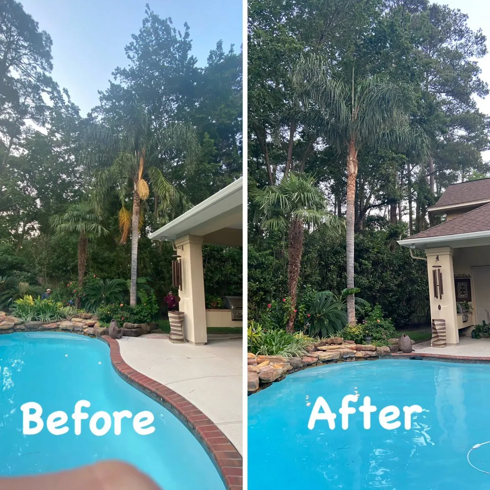 Reliable lawn care service in Houston, TX - Williams Tree Service