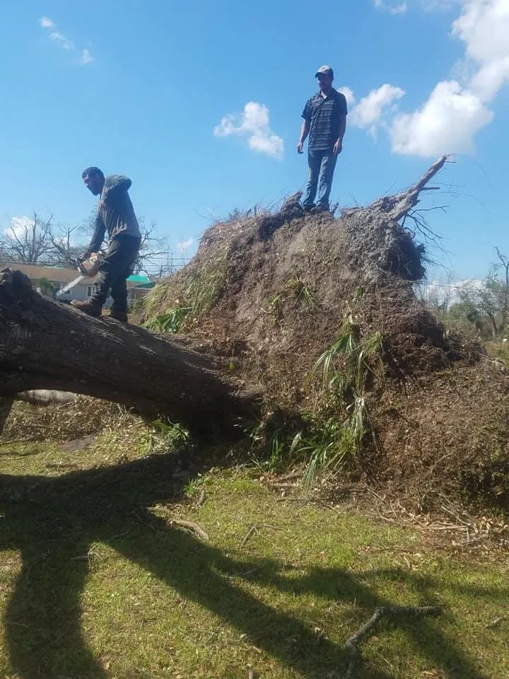 Professional residential landscaping experts serving Houston, TX - Williams Tree Service