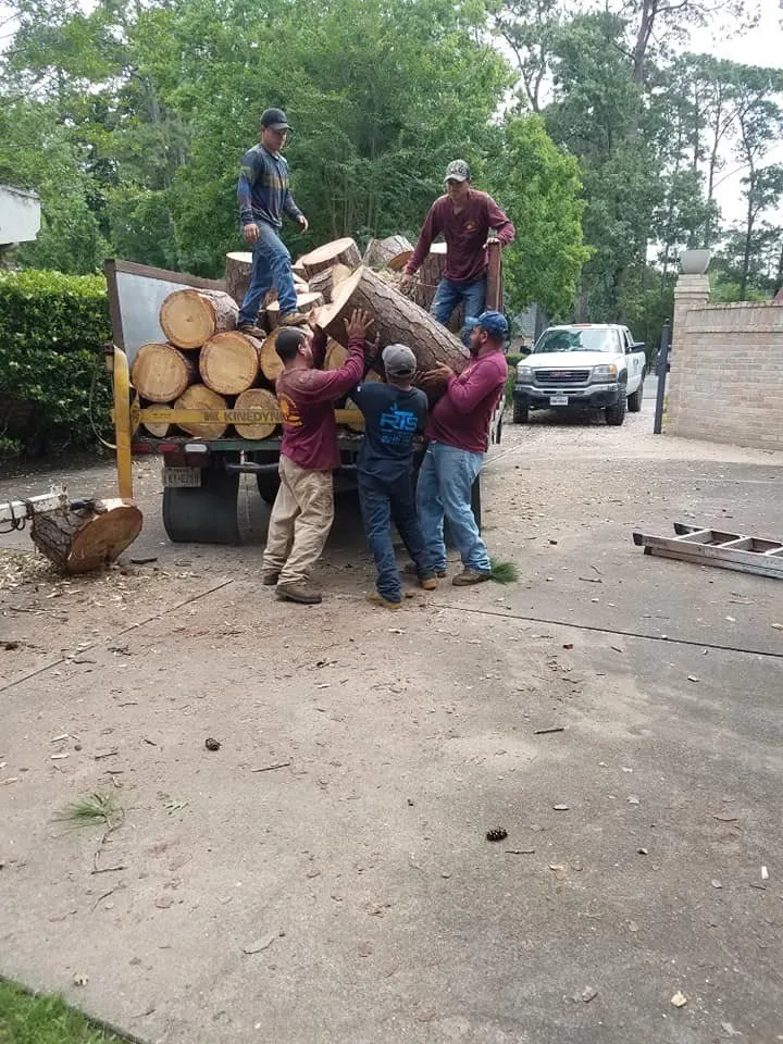 Local yard cleanup service near you in Houston, TX by Williams Tree Service