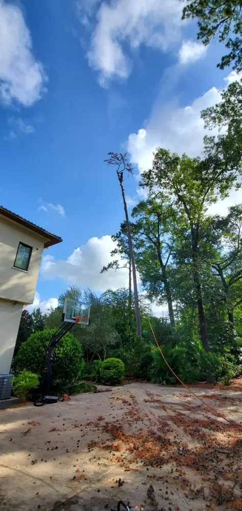 Custom landscape design in Houston, TX by Williams Tree Service