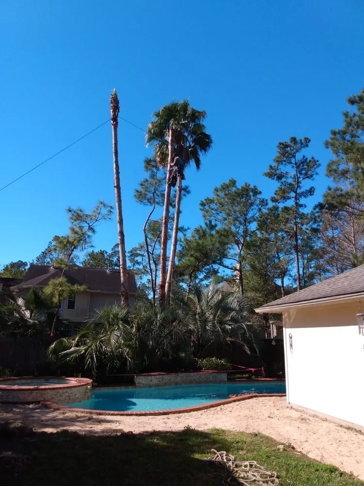 Expert residential landscaping for beautiful yards in Houston, TX by Williams Tree Service