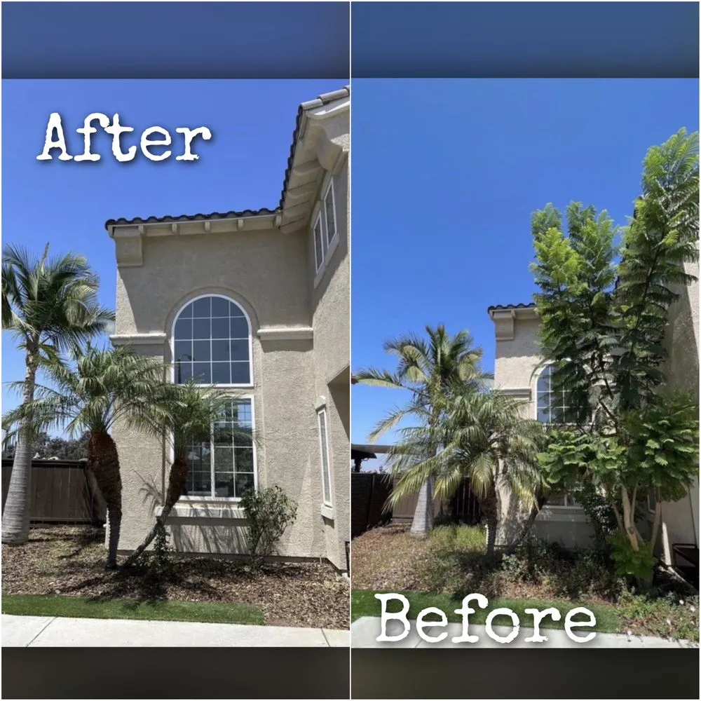 Professional residential landscaping in Jacksonville, FL by Williams Tree Service