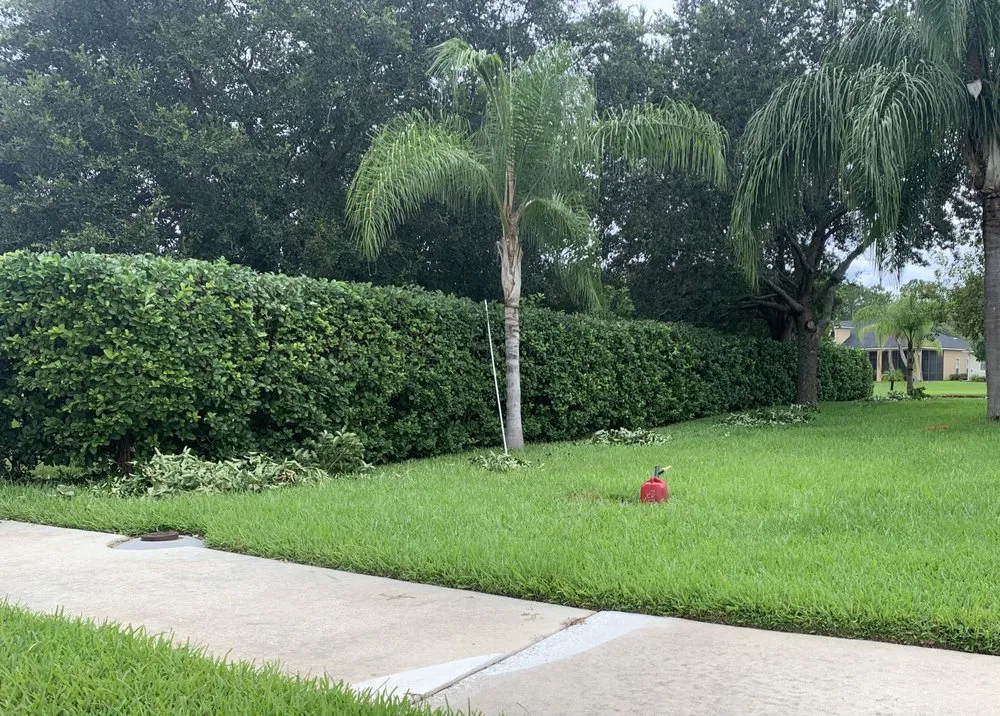 Professional residential landscaping experts serving Jacksonville, FL - Williams Tree Service