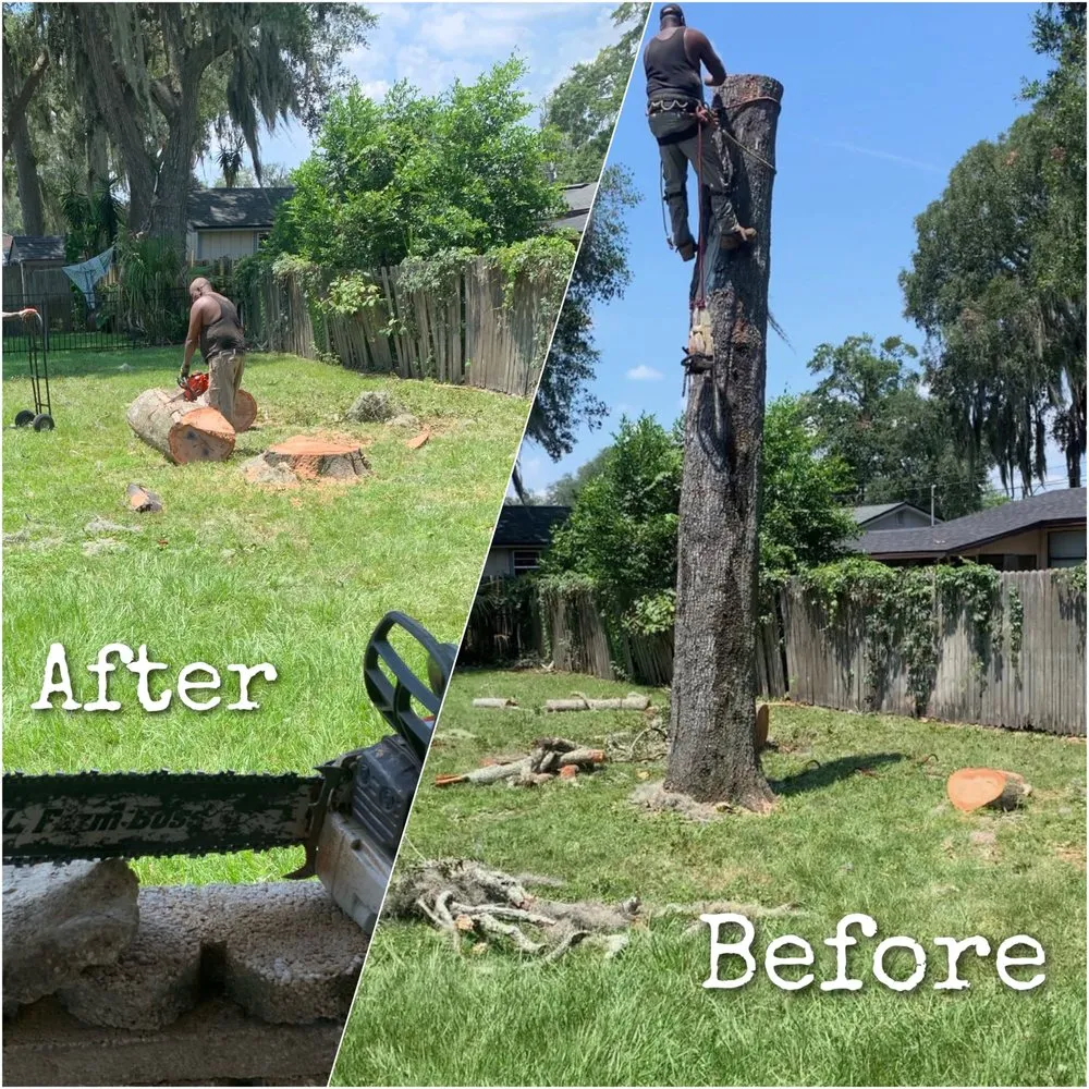 Top-rated residential landscaping in Jacksonville, FL by Williams Tree Service