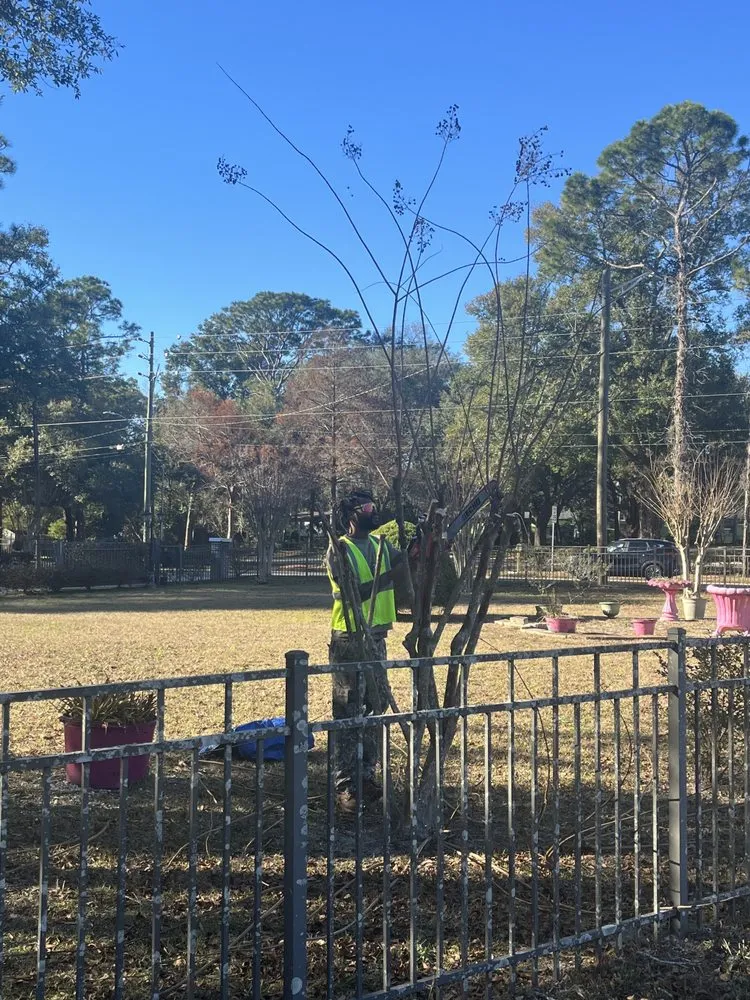 Local lawn care service in Jacksonville, FL by Williams Tree Service