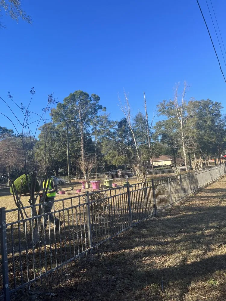 Custom lawn care service for year-round maintenance across Jacksonville, FL - Williams Tree Service