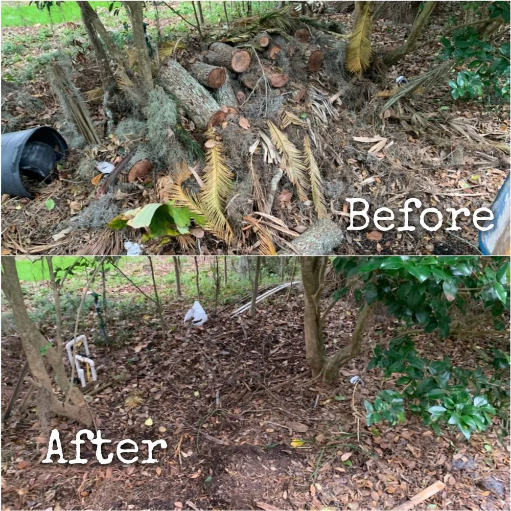 Trusted landscaping services for homes across Jacksonville, FL - Williams Tree Service