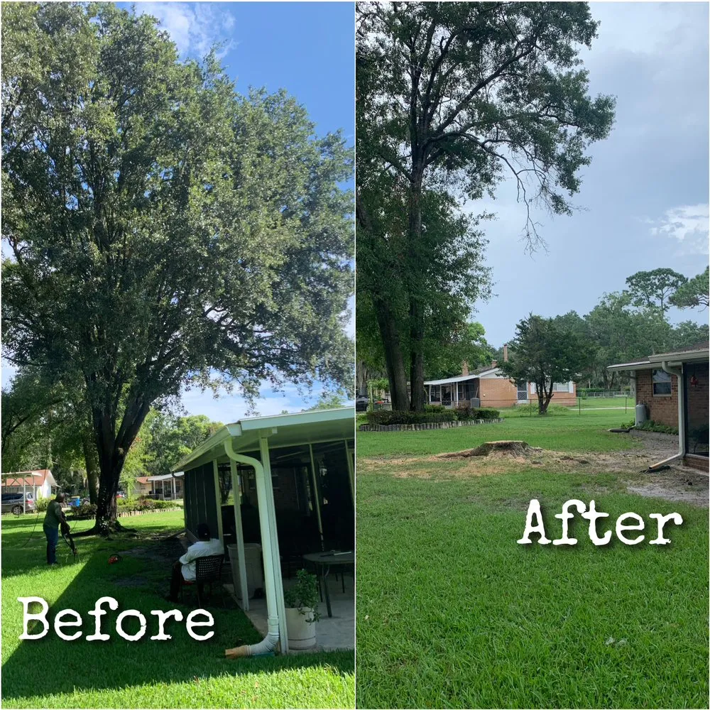 Top-rated landscape design for year-round maintenance across Jacksonville, FL - Williams Tree Service