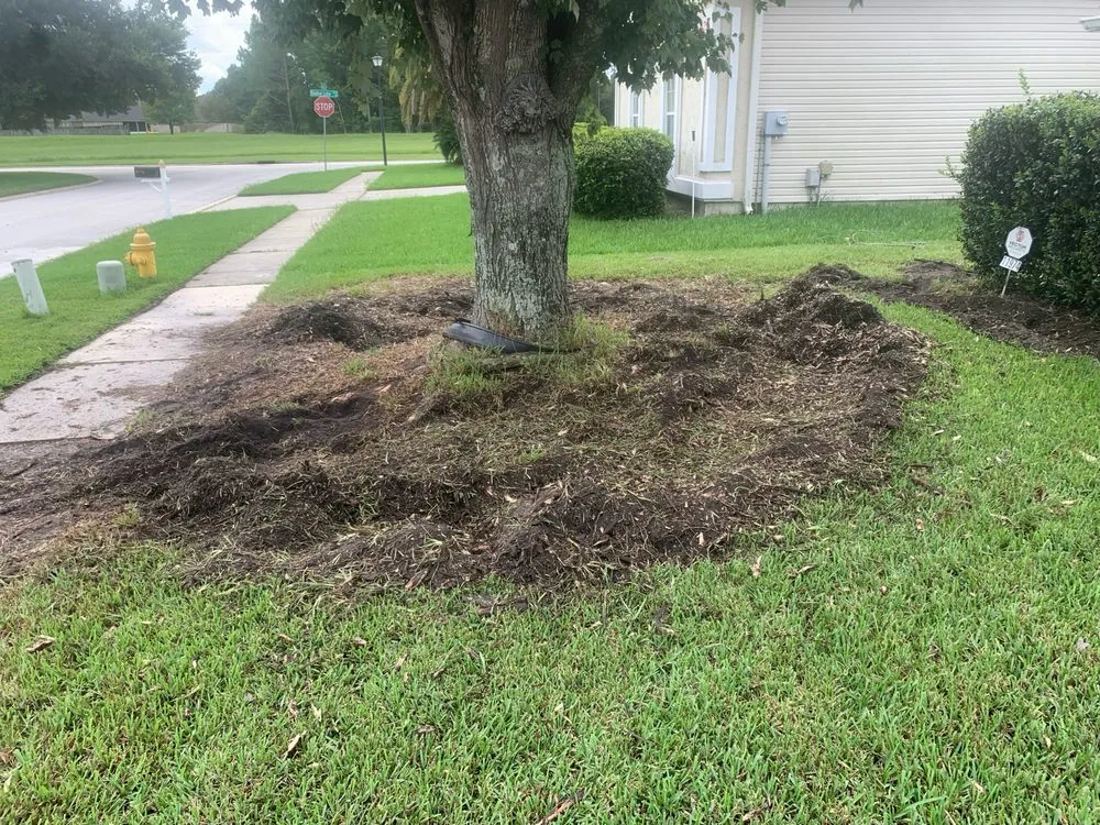 Trusted lawn mowing service experts serving Jacksonville, FL - Williams Tree Service