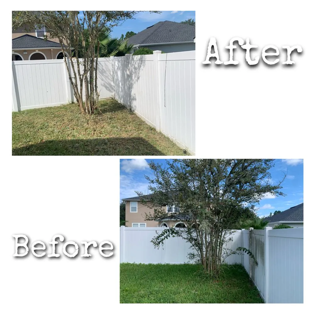 Professional yard cleanup service experts serving Jacksonville, FL - Williams Tree Service
