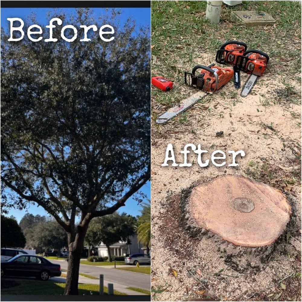 Professional lawn care service experts serving Jacksonville, FL - Williams Tree Service