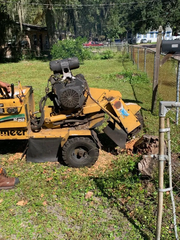 Trusted yard cleanup service in Jacksonville, FL by Williams Tree Service