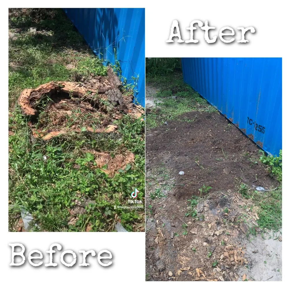 Affordable yard cleanup service experts serving Jacksonville, FL - Williams Tree Service