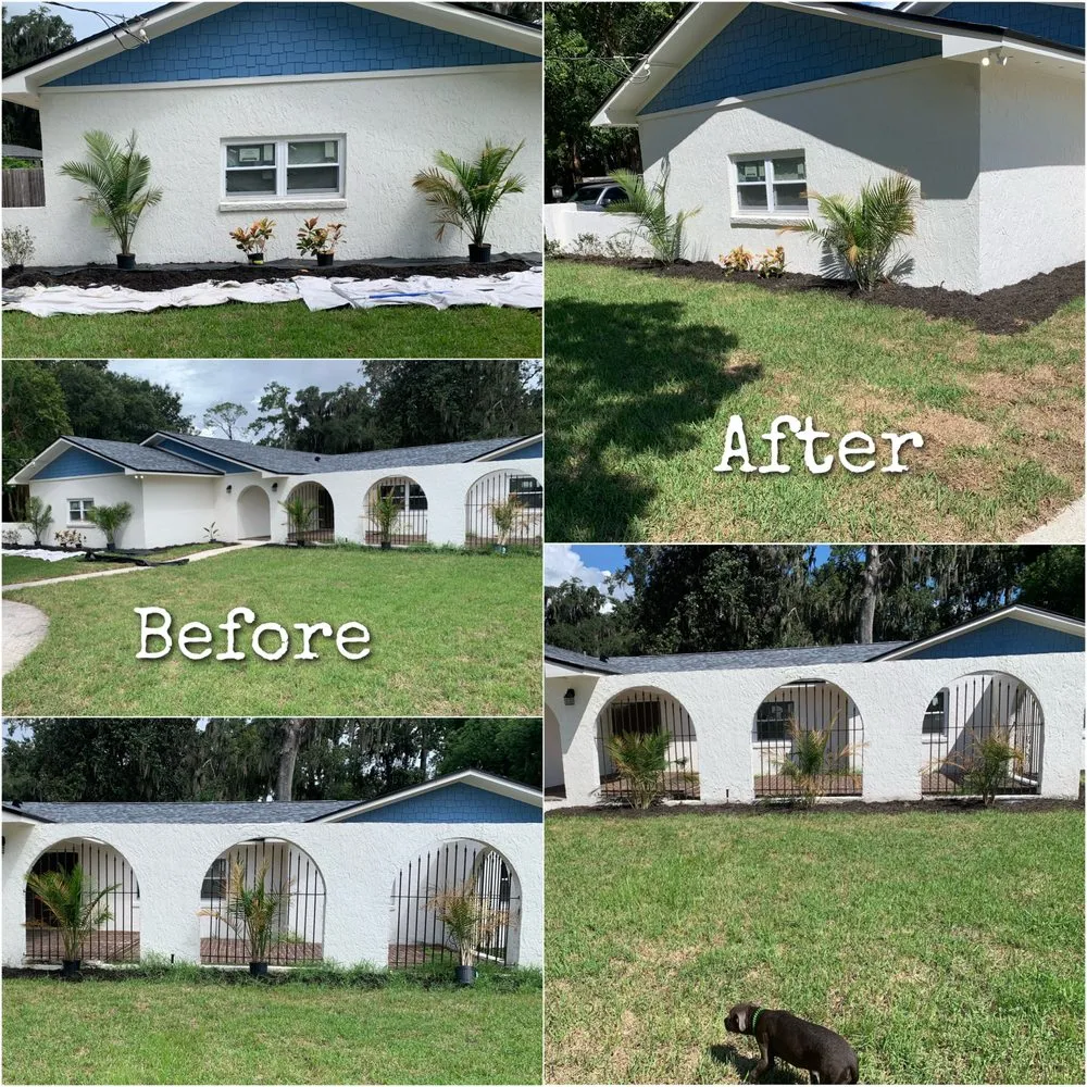 Affordable yard maintenance for residential properties across Jacksonville, FL - Williams Tree Service